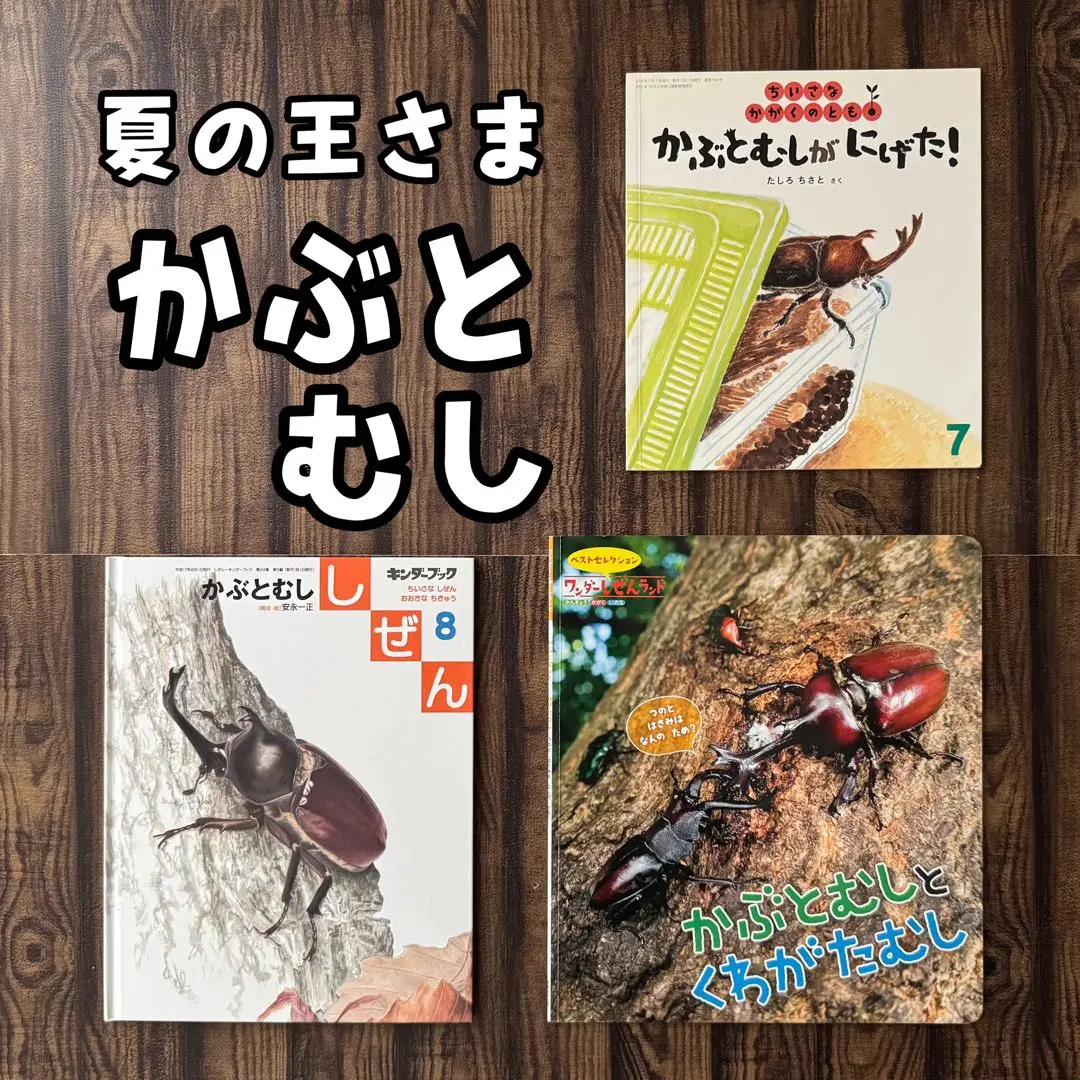 たくさんのふしぎ　キンダーブックしぜん　カブトムシの幼虫と成虫　カブトムシの音 たくさんのふしぎ キンダーブックしぜん カブトムシの幼虫と成虫
