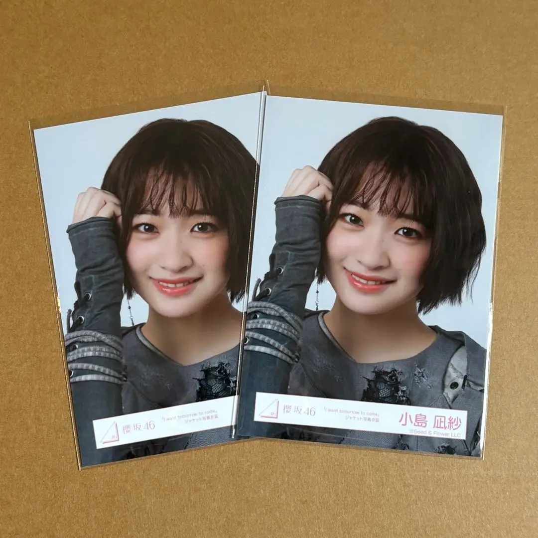 ★乃木坂♪櫻坂(欅坂)♪日向坂★ 劇場盤生写真 まとめうり 乃木坂46 欅坂46(櫻坂46) 日向坂46 劇場盤生写真まとめ売り アイドル