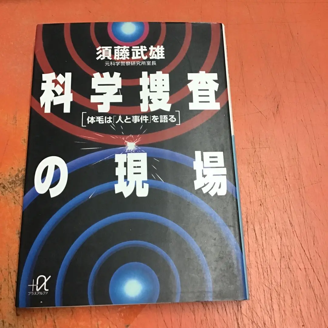 須藤武雄作、耳付引描絵花瓶、登り窯作 須藤武雄作、耳付引描絵花瓶、登り窯作