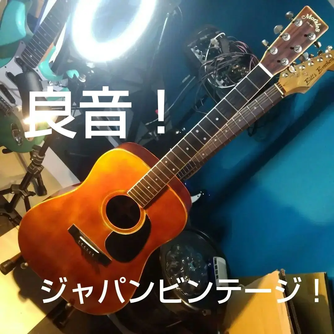 2025年最新】morales lyre birdの人気アイテム - メルカリ