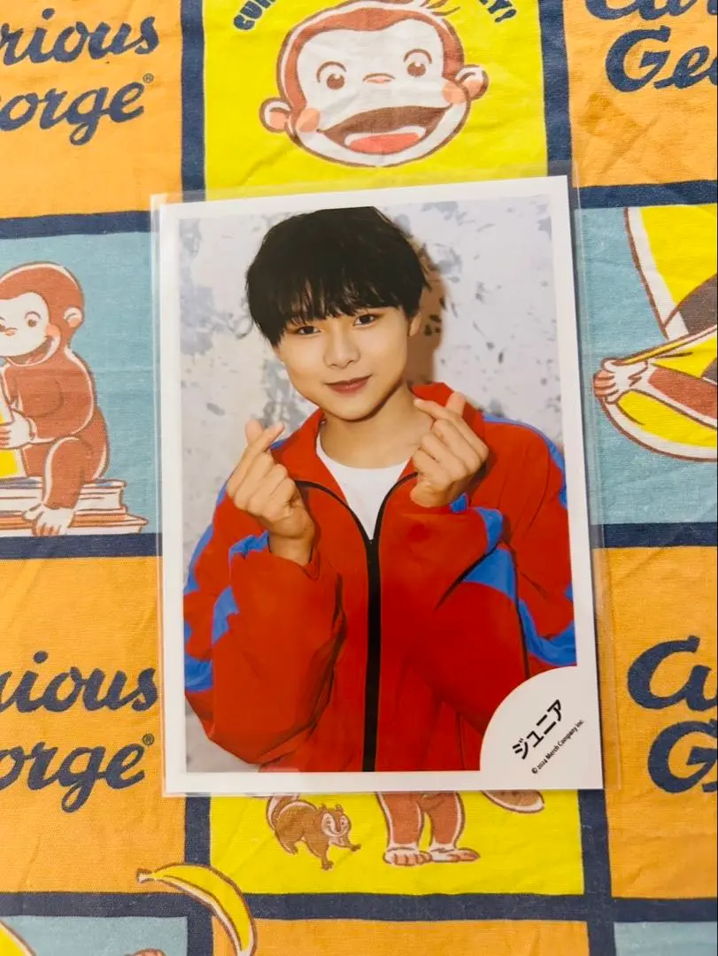 田所蒼大 プロフィールカード | ファミクラストア オンライン