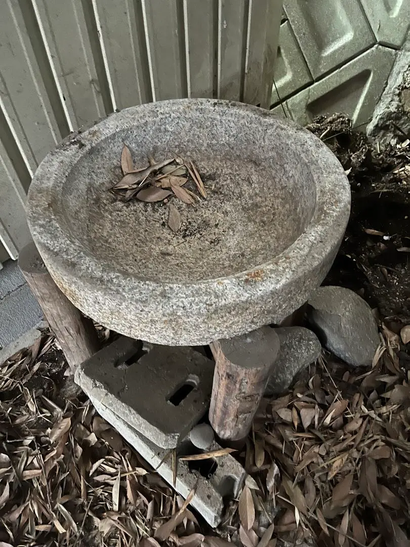 2025年最新】水鉢 石臼の人気アイテム - メルカリ