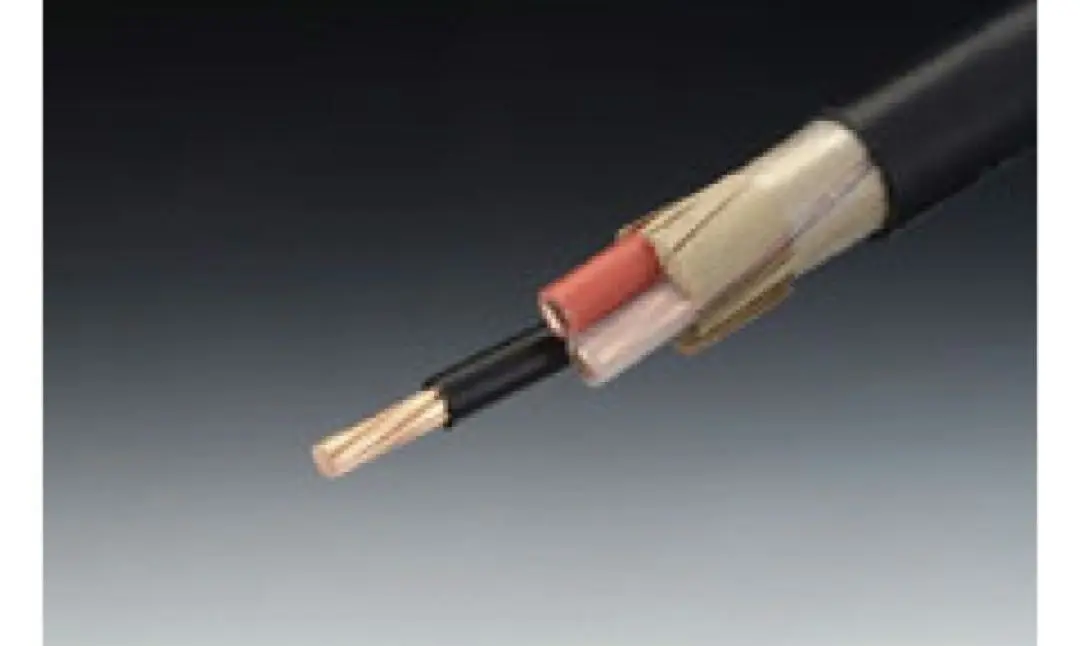 再再値引き❗️新品未使用CV5.5sq×3C 100m巻 CVケーブル CV5.5sq×3芯