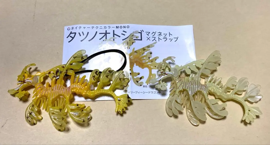 2025年最新】リーフシードラゴンの人気アイテム - メルカリ
