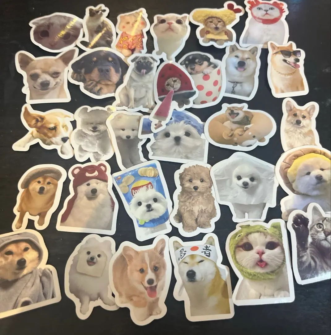 貓咪貼紙 貓 動物 貼紙 可愛 狗狗貼紙 小狗 的縮圖