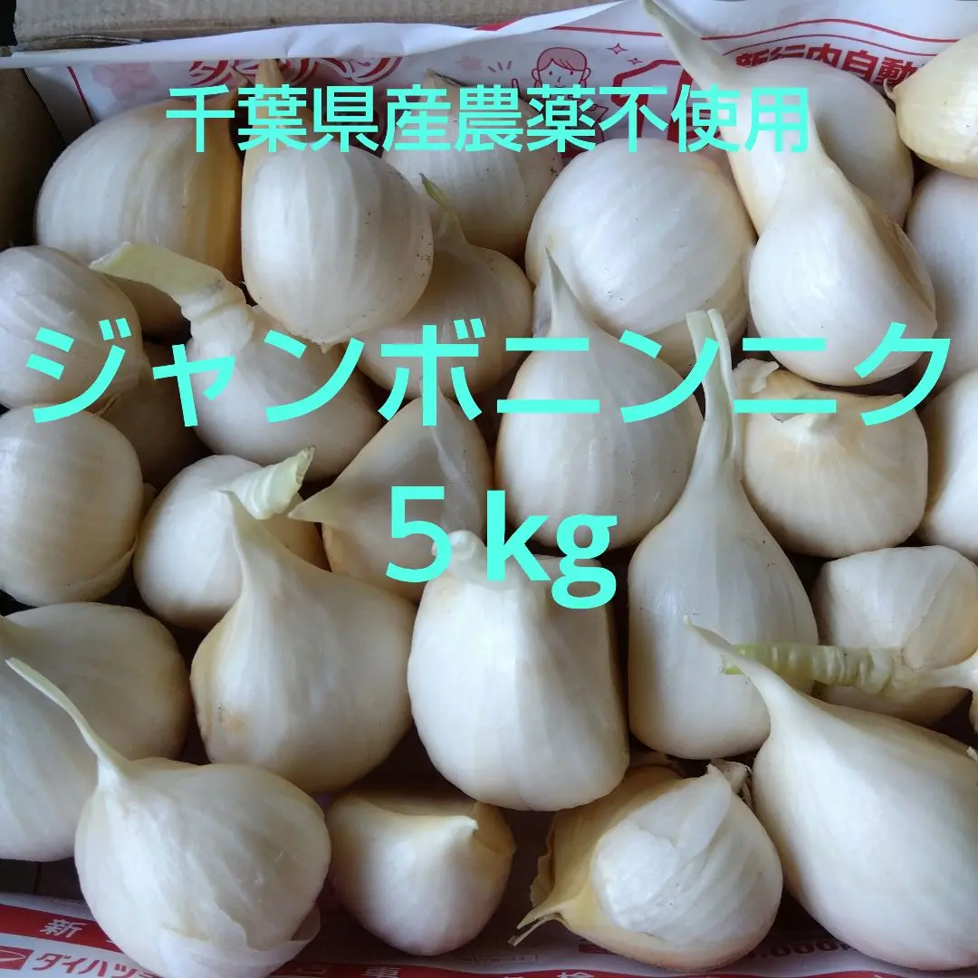 ジャンボにんにく. 生にんにく. 5kg 生じゃんぼにんにく | DOLCE'S 公式通販