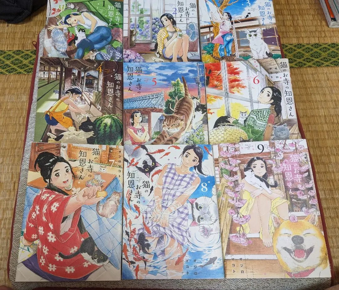 小学館 - 君は放課後インソムニア 全巻セット 君は放課後インソムニア 全14巻セット - メルカリ