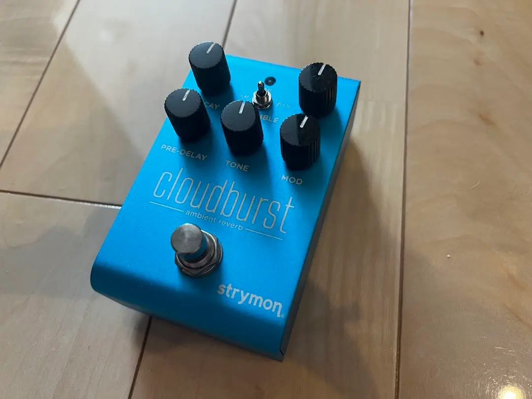 2025年最新】Strymon cloudburstの人気アイテム - メルカリ