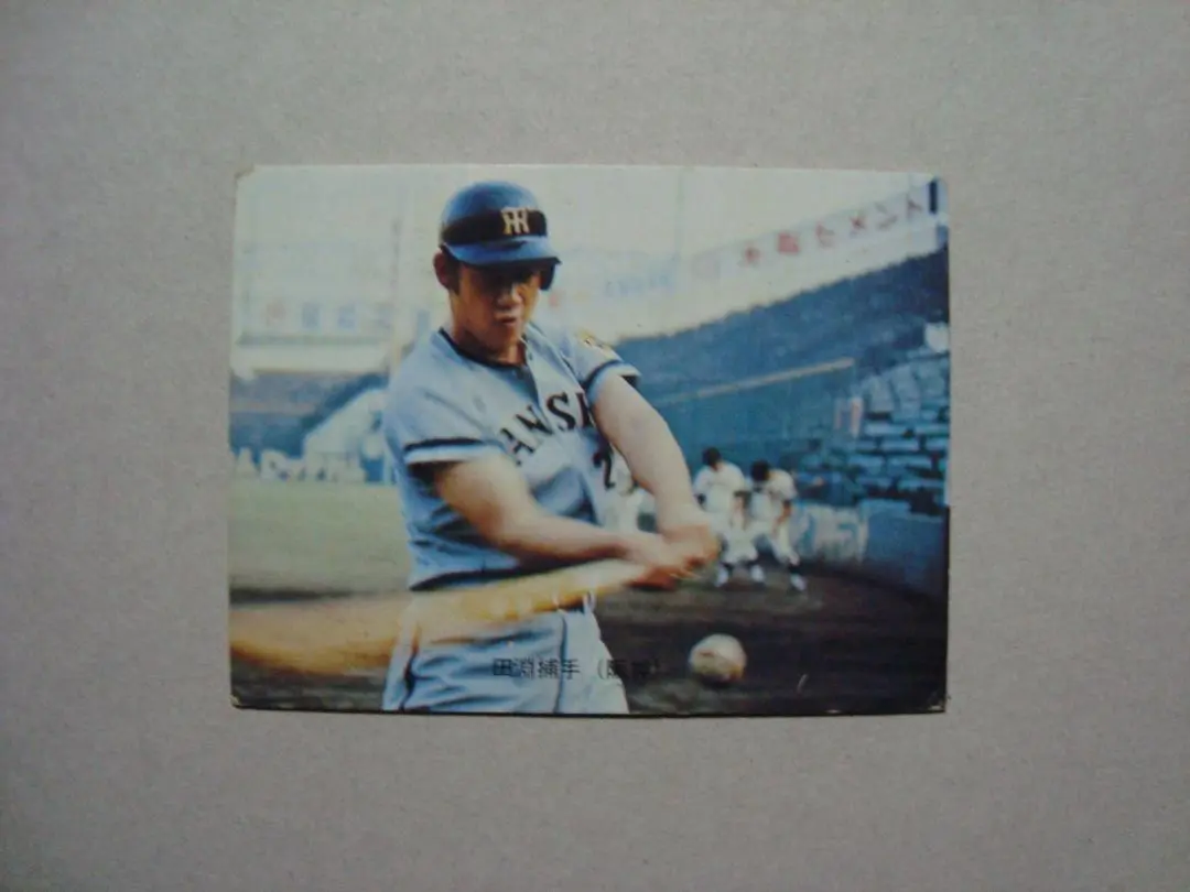 2025年最新】プロ野球カード田淵幸一1973年の人気アイテム