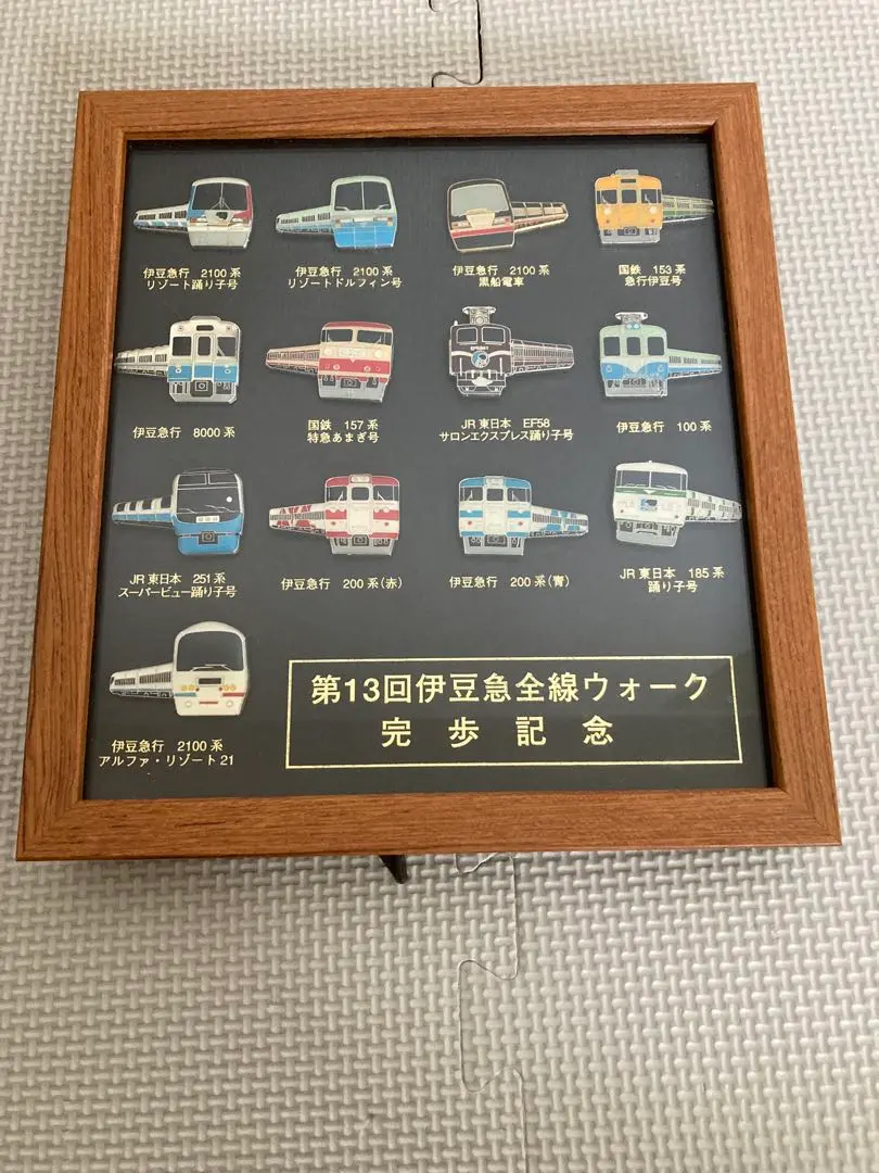 Amazon | 第4回 伊豆急全線ウォーク完歩記念 電車 ピンバッジ