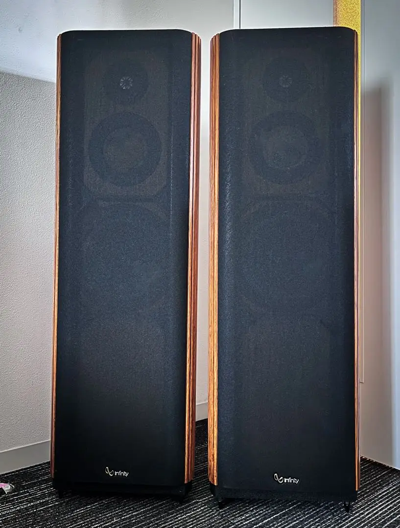 想像を超えての INFINITY Reference 10Eの仕様 インフィニティ