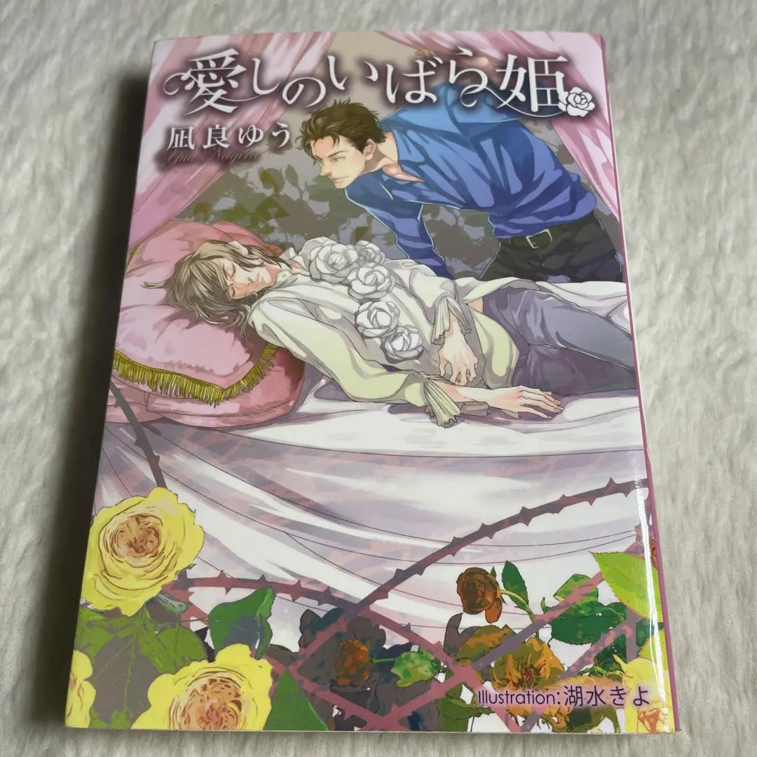 凪良ゆう　BL小説　まとめ売り　9冊　愛しのいばら姫 凪良ゆう BL小説 まとめ売り 9冊 愛しのいばら姫 - メルカリ