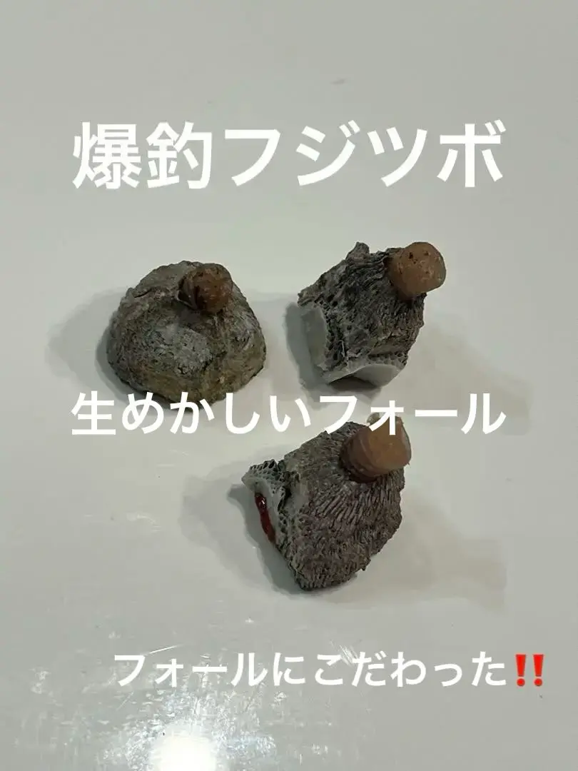 m78183050472_1.jpg?1728215271