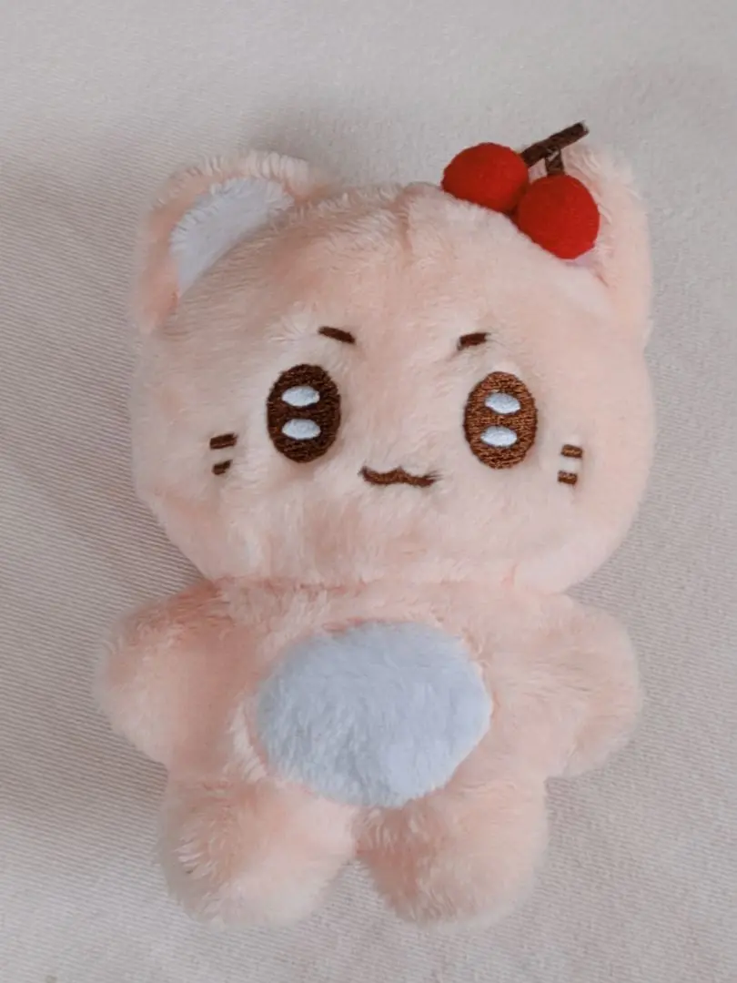 NCT127　ユウタ マスターニム ぬいぐるみ 12ｃｍ ユチェリー B NCT 悠太 ユウタ ぬいぐるみ マスター ライオン - メルカリ