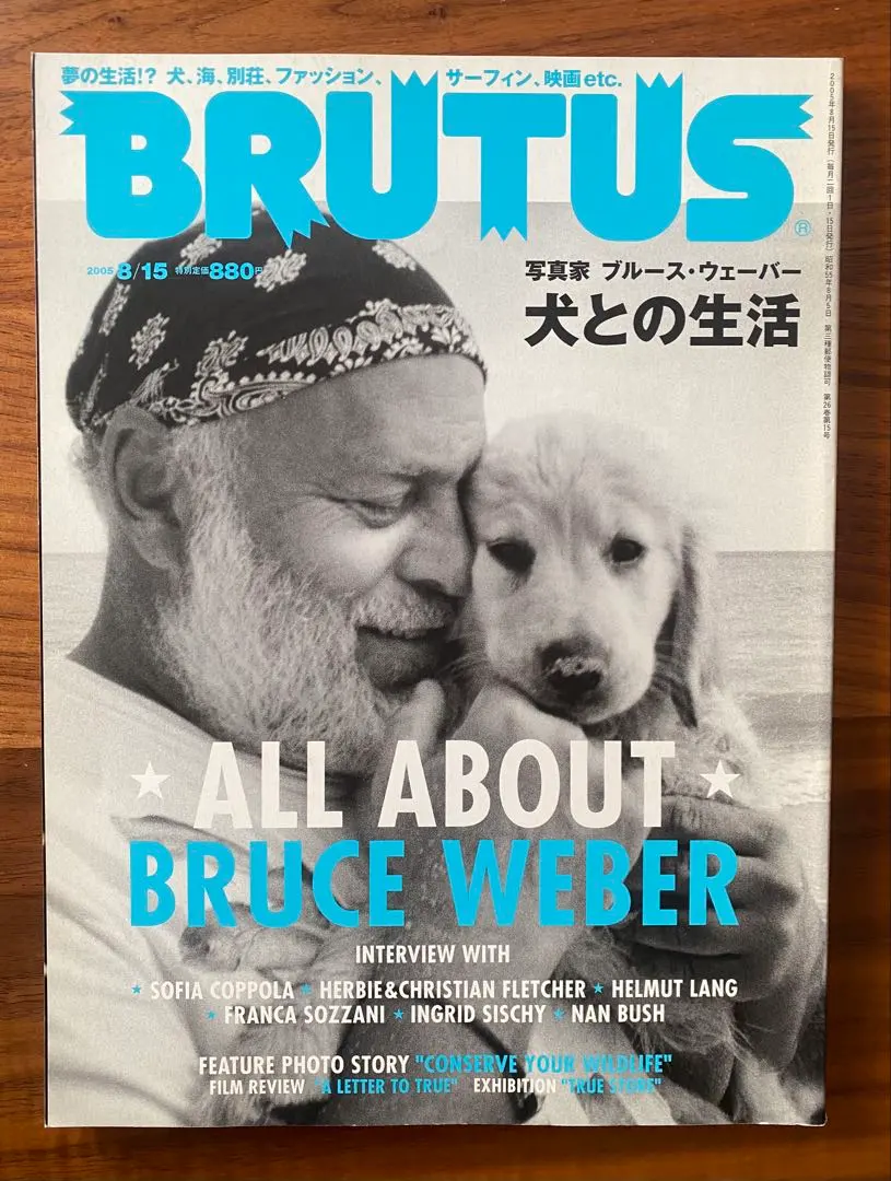 2025年最新】トゥルーへの手紙の人気アイテム - メルカリ