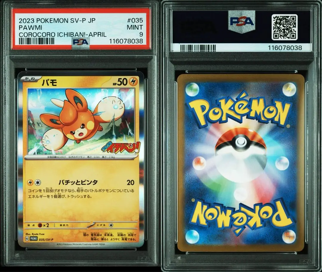 ④枚セット!!　パモ　コロコロイチバン!　プロモーションカード　ポケカ ポケモンカードゲーム 035/SV-P パモ (PROMO プロモ) コロコロ