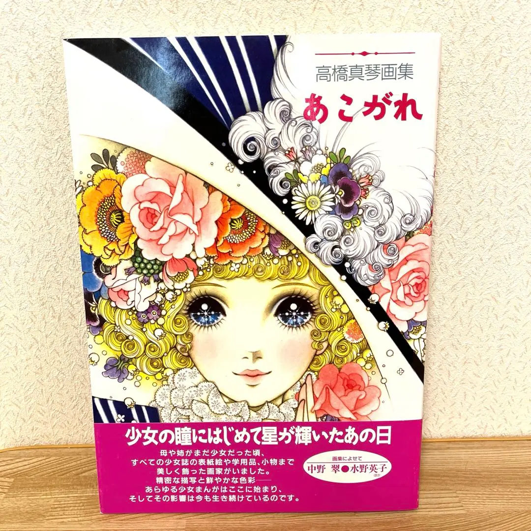 2025年最新】高橋真琴画集 あこがれの人気アイテム - メルカリ