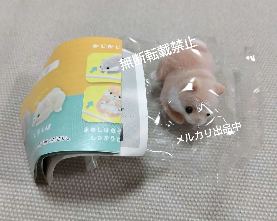 CABLE かじかじ まめしば ケーブルかじかじまめしば | Yell World｜エールワールド