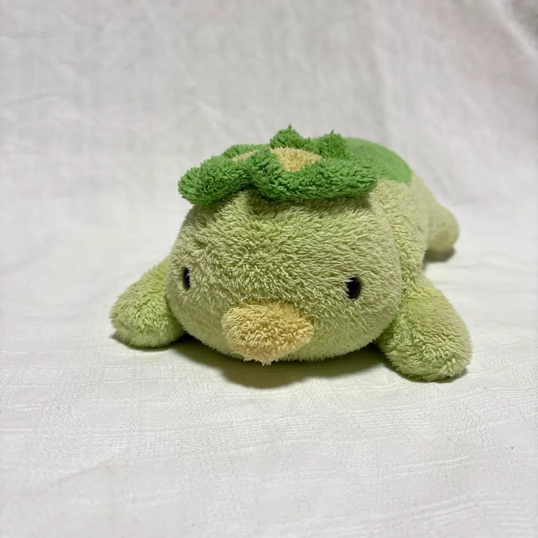 m78660430371_1.jpg?1772700671