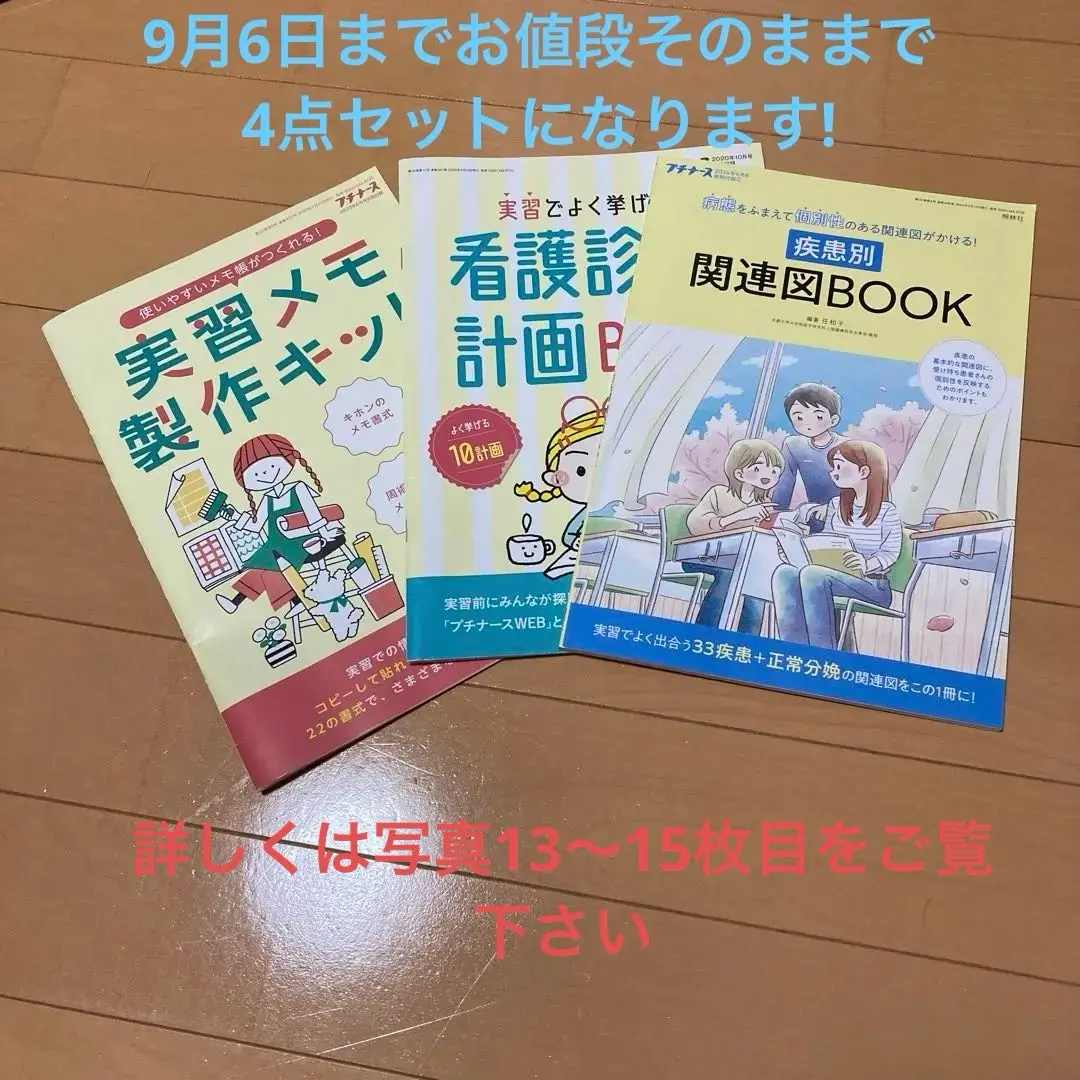 プチナース本巻＋臨時増刊号合計29冊、付録揃い プチナース本巻＋臨時増刊号合計29冊、付録揃い 本