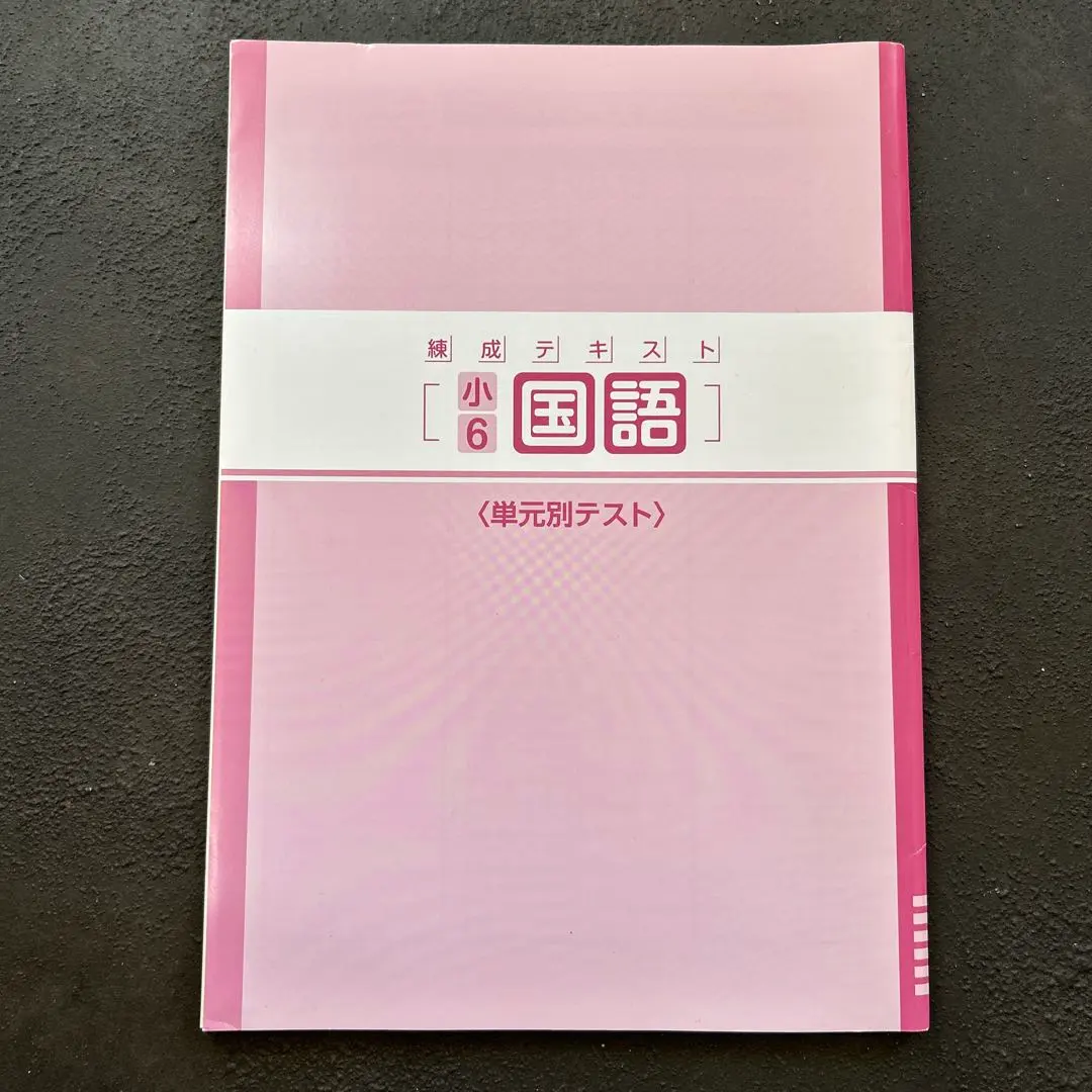 Thumbnail of Sixth Grade Japanese Language Unit Tests: Training Text