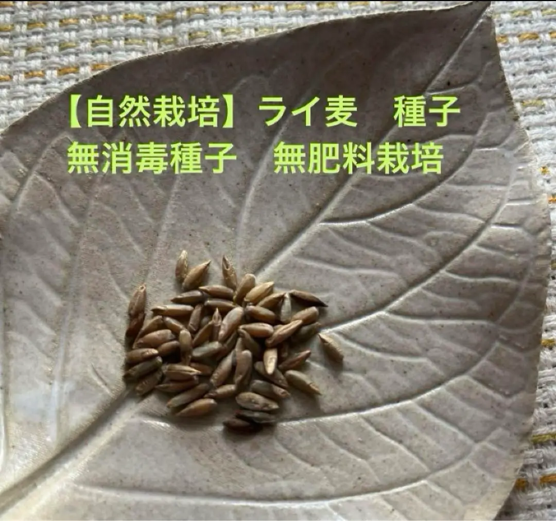 自然栽培ライ麦玄麦(粒) 2025年最新】ライ麦玄麦の人気アイテム - メルカリ