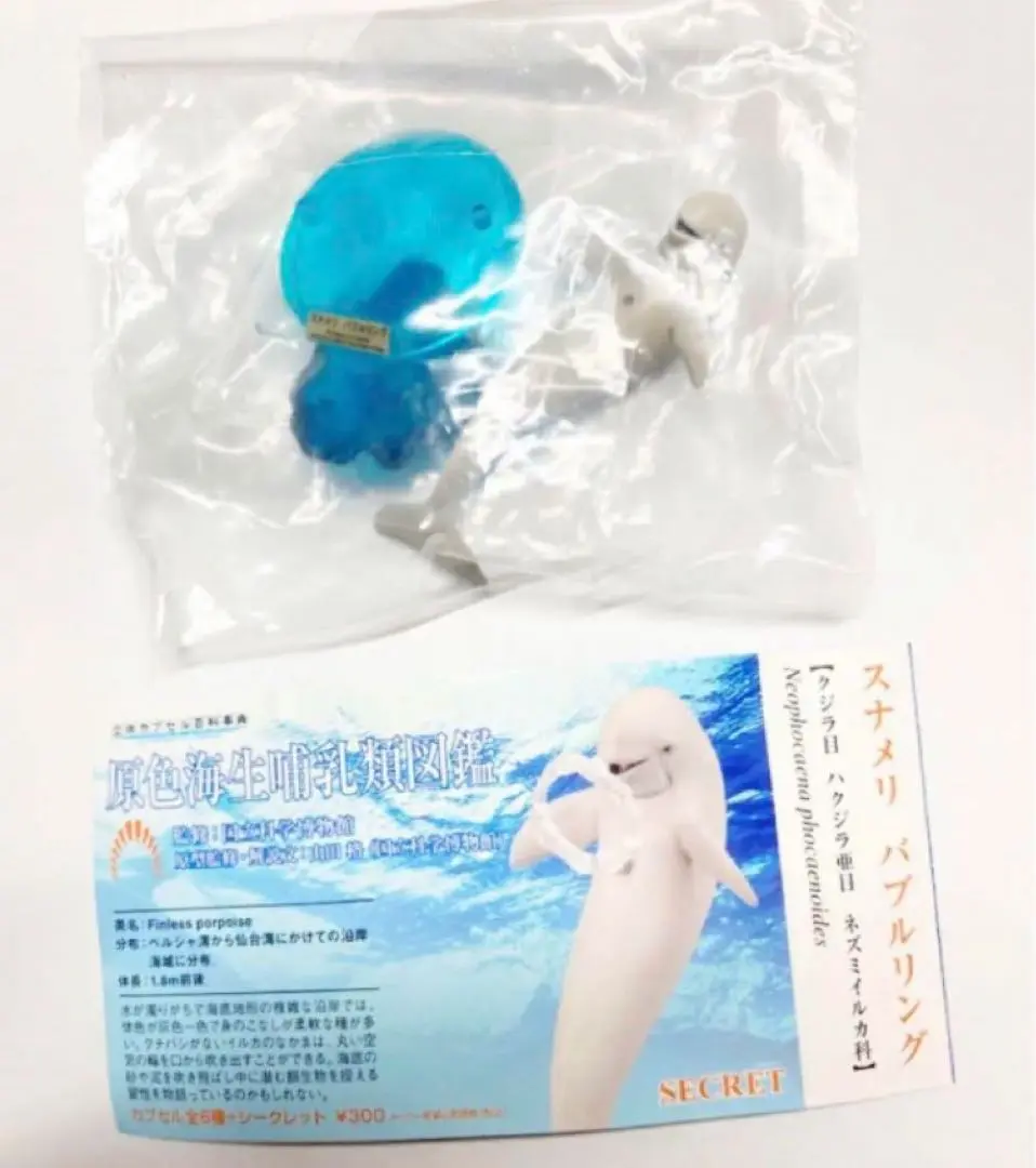 展覧会限定　原色海生哺乳類図鑑　スナメリ　バブルリング　シークレット【新品】 2025年最新】原色海生哺乳類図鑑の人気アイテム - メルカリ