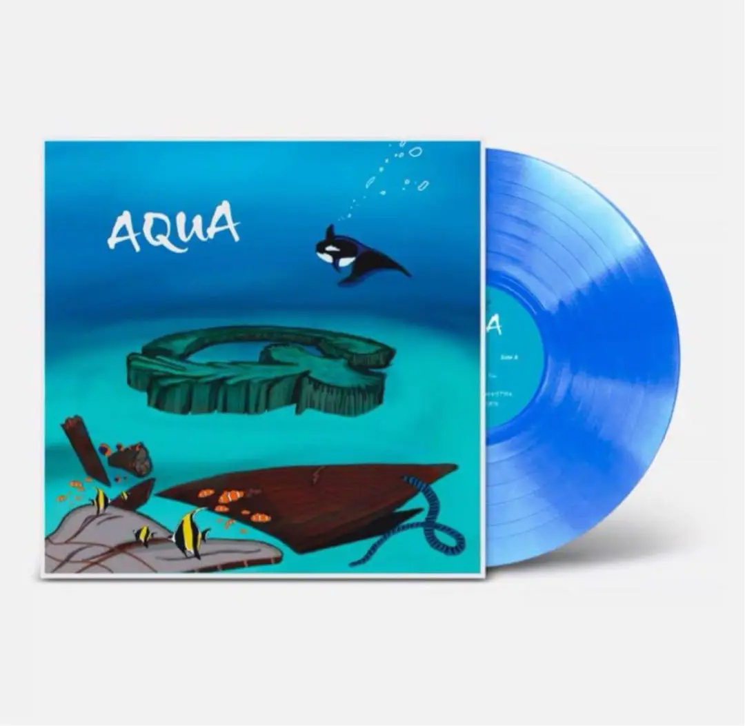 AQUA LPレコード　GOTTZ 2025年最新】gottz レコードの人気アイテム - メルカリ