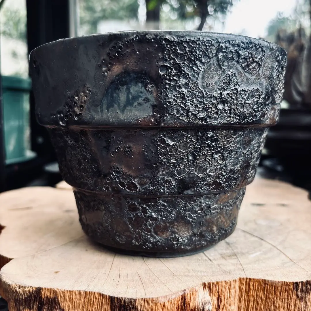 中川智治 発泡 クレーター鉢 陶器鉢 植木鉢 コーデックス パキプス アガベ 中川智治 植木鉢 パキプス アガベ グラキリス コーデックス 鉢