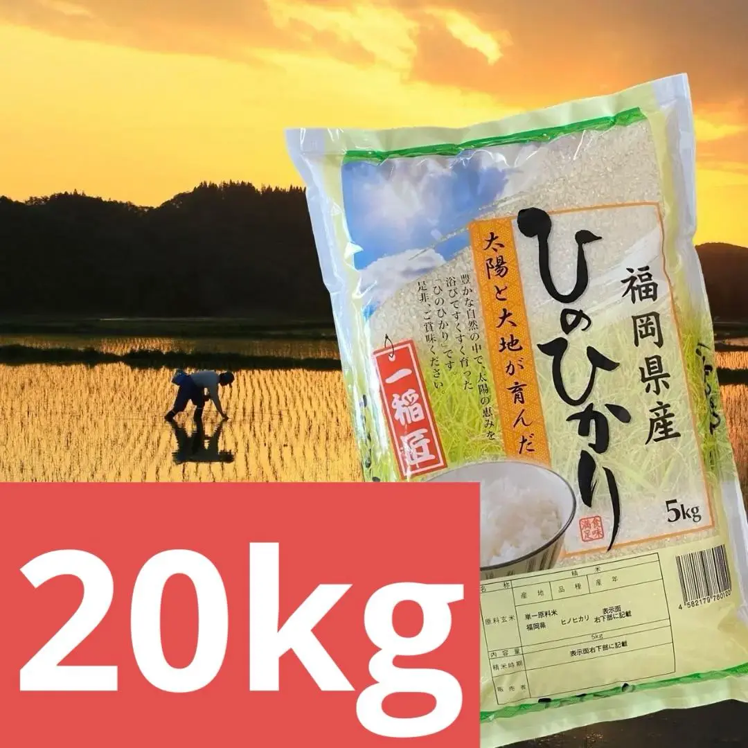 2025年最新】ふるさと納税 精米20の人気アイテム - メルカリ
