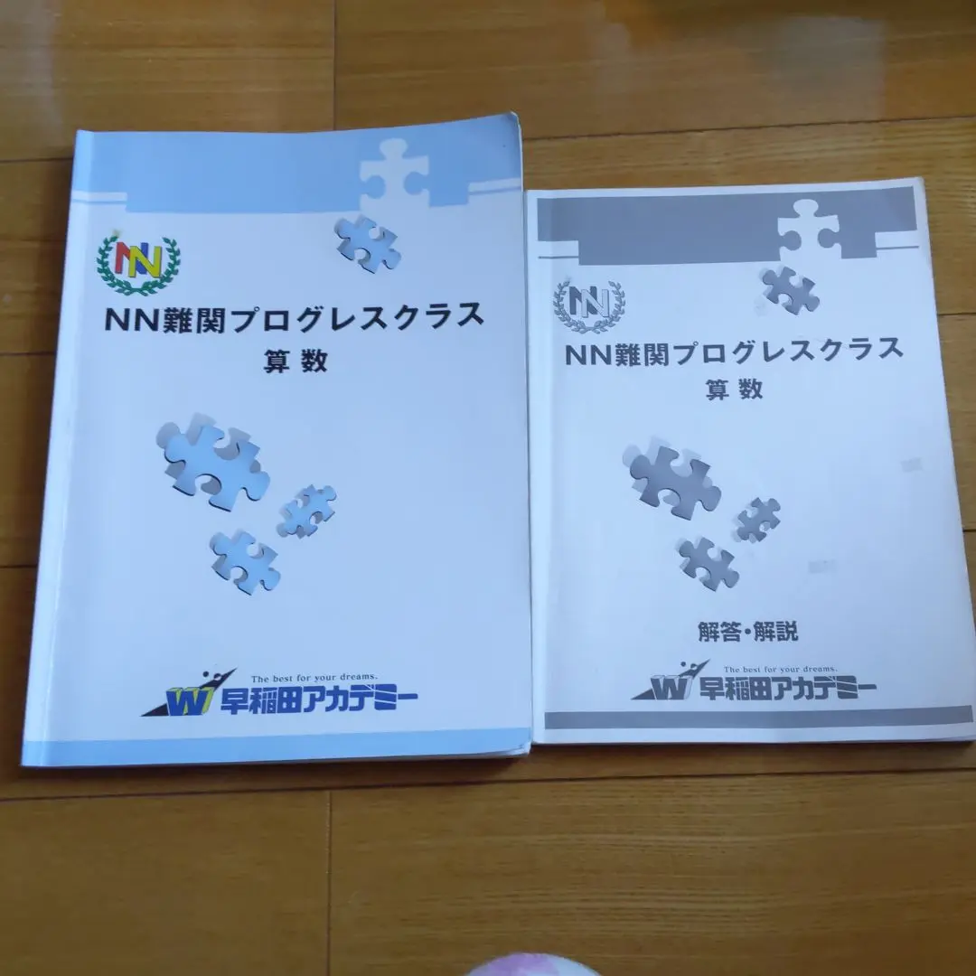 【匿名配送】早稲アカ　NN 難関プログレスクラス　選抜 難プロ 教科書　教材 2025年最新】難関プログレスクラスの人気アイテム - メルカリ
