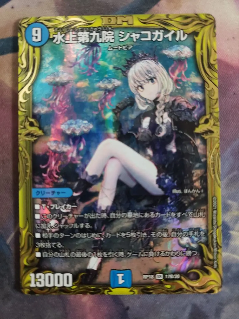 2025年最新】シャコガイルbの人気アイテム - メルカリ