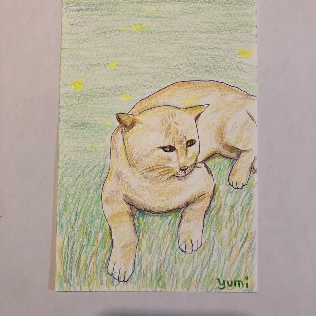 色鉛筆画A4 茶トラ白.35 2025年最新】色鉛筆画 茶トラの人気アイテム - メルカリ
