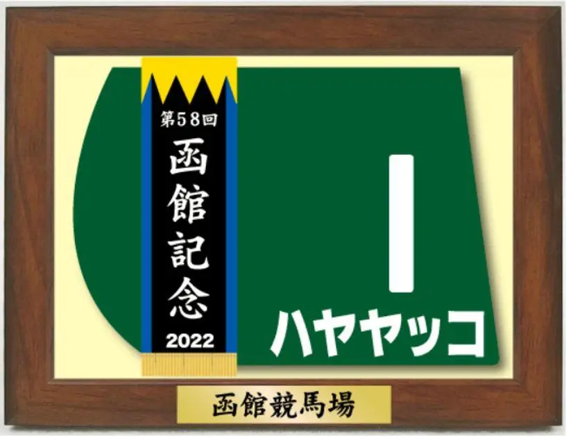 アーモンドアイ　ミニゼッケン　額縁入り JRA 競馬 アーモンドアイ 額縁入りミニゼッケン&ゼッケン