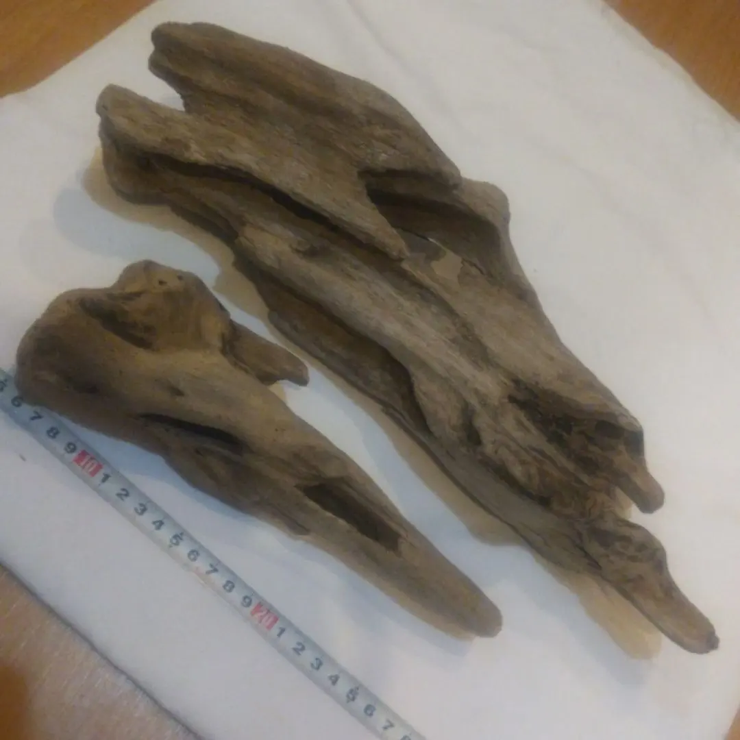 Thumbnail of Two Driftwood Pieces with Holes No. 163