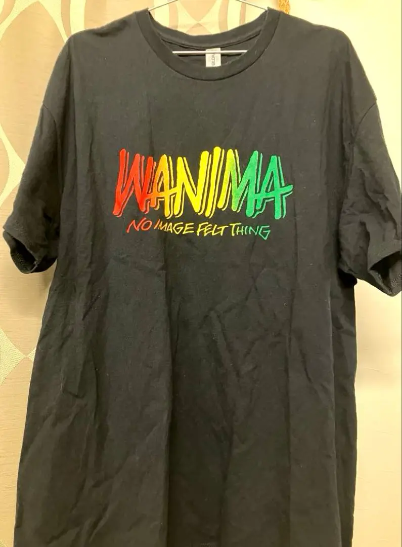 2025年最新】WANIMA Tシャツ catch up tourの人気アイテム