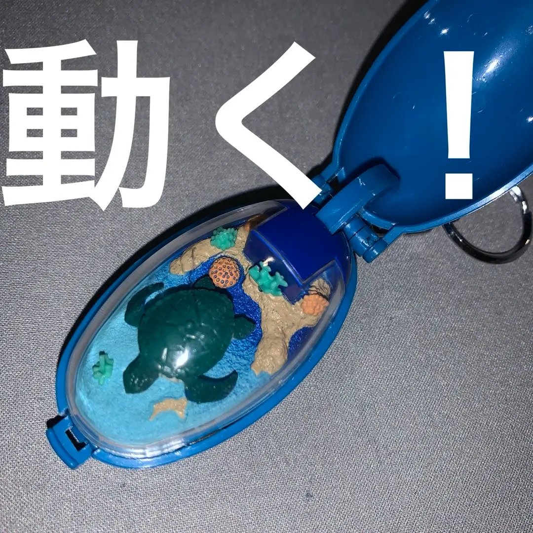 Thumbnail of Pocket Critter Turtle