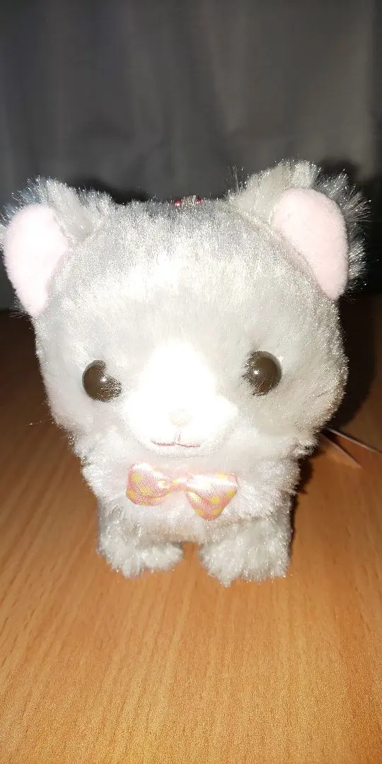 ふわねこミューちゃん【新作】  ショコラ  ST.LMC セット ふわねこミューちゃん【新作】 ショコラ ST.LMC セット
