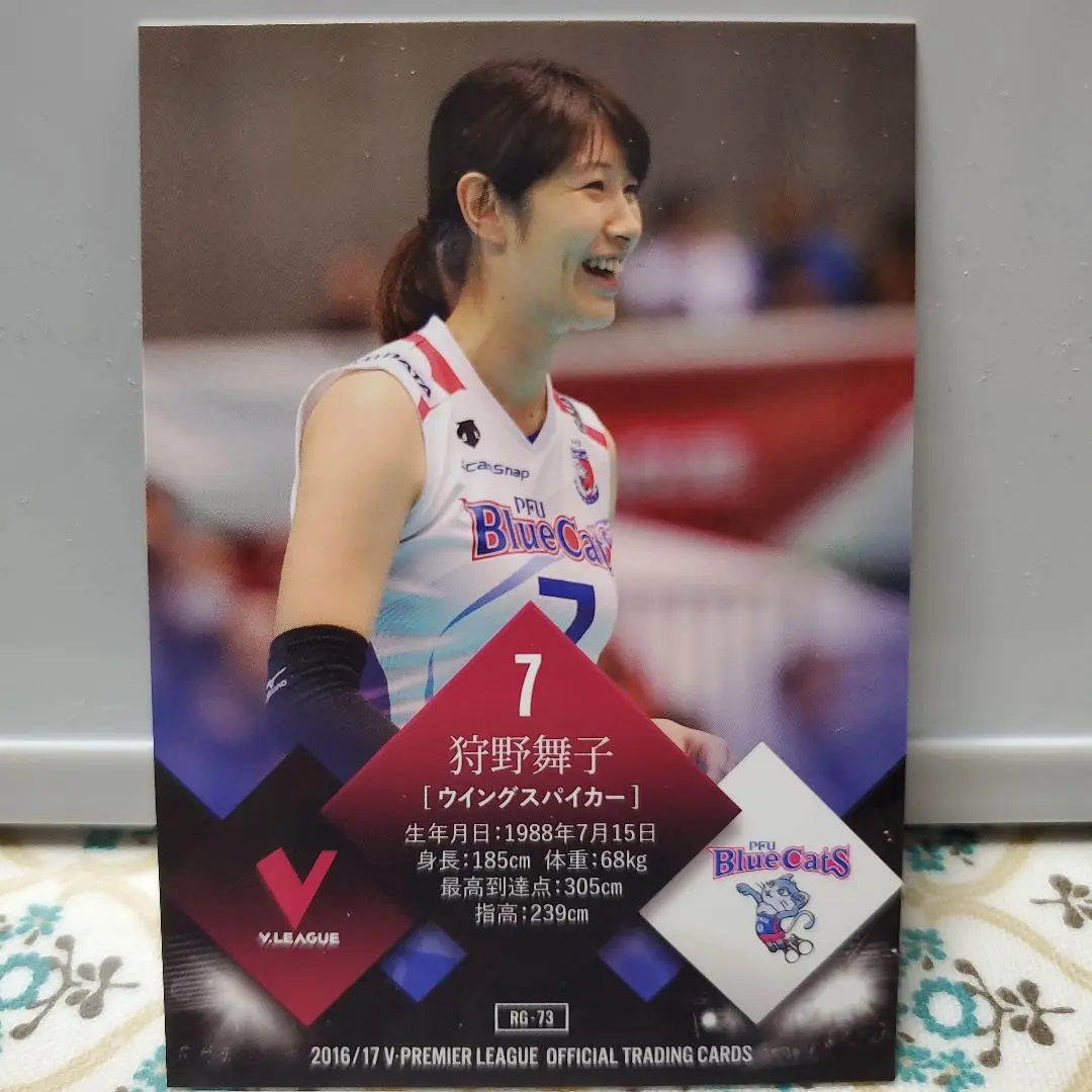 狩野舞子　直筆サインポスター 最新入荷】 狩野舞子 直筆サインポスター その他 - その他