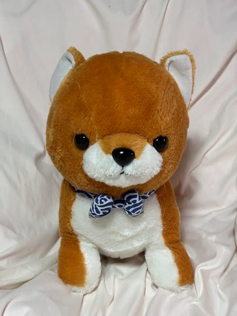 Thumbnail of Mameshiba San Kyodai Plush Toy