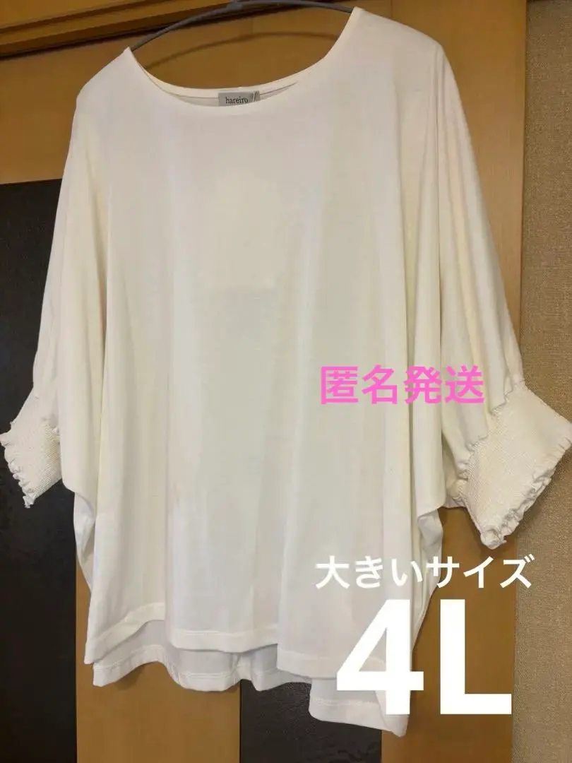 Thumbnail of Plus Size Cut and Sewn Top 4L, Slimming Dolman Sleeve, Frill