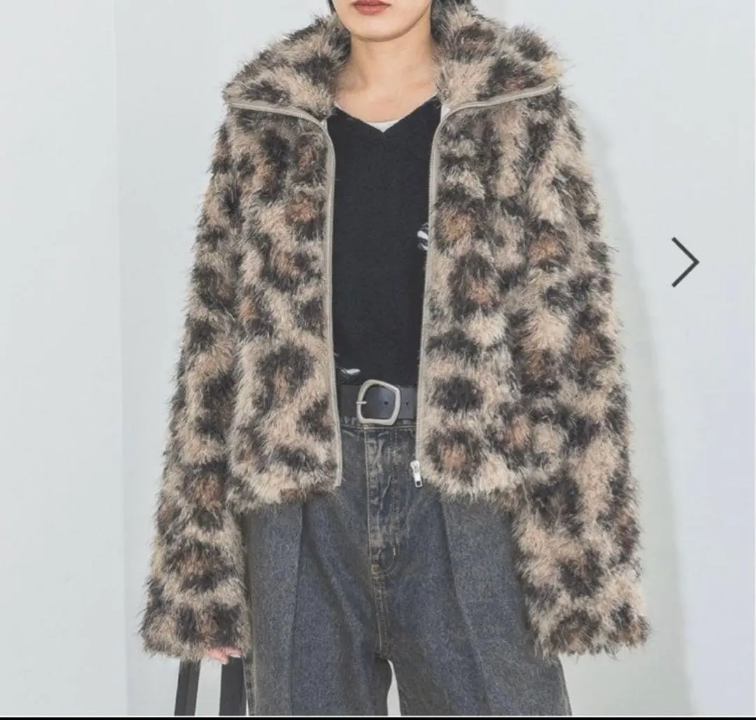 2026年最新】JEANASIS アウター レオパードの人気アイテム - メルカリ