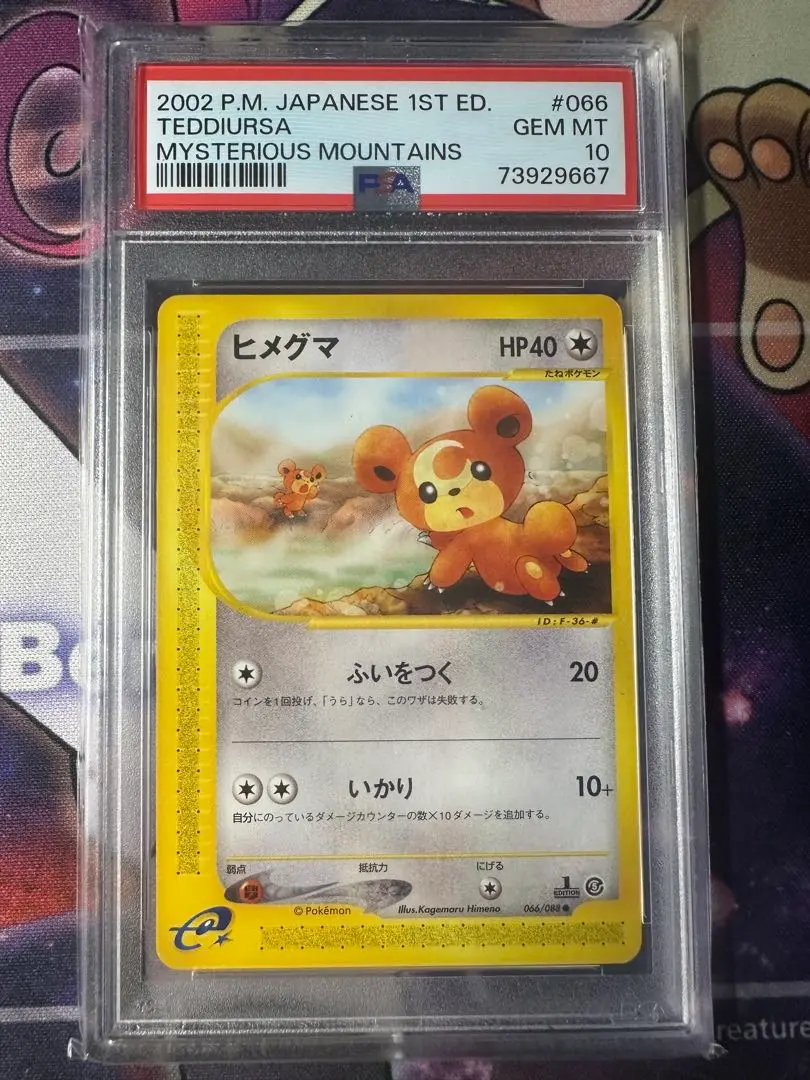 【PSA10】ヒメグマ プロモ 2025年最新】ヒメグマ psa10の人気アイテム - メルカリ