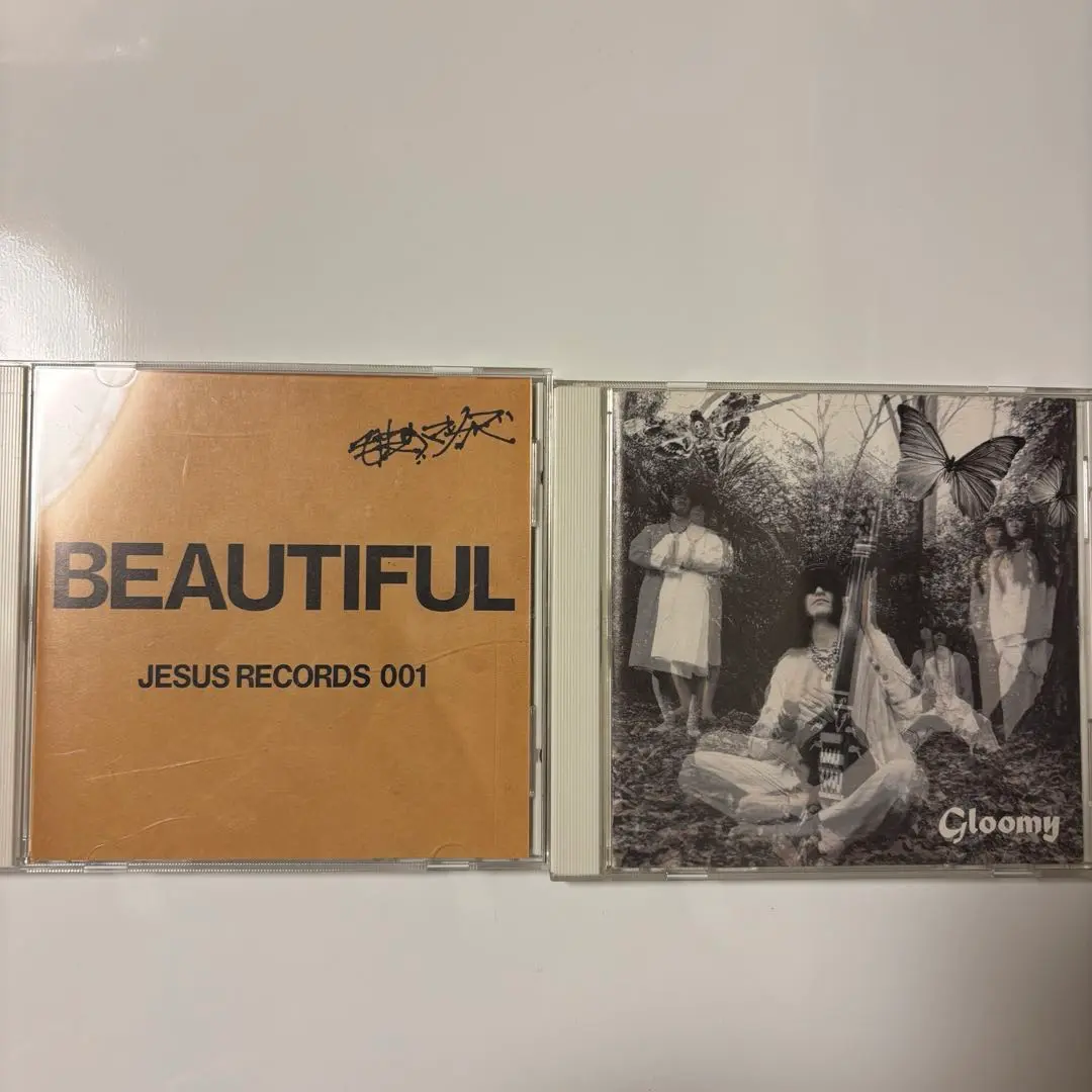 新品未再生☆毛皮のマリーズ ビューティフル レコード BEAUTIFUL 2025年最新】毛皮のマリーズ ビューティフルの人気アイテム