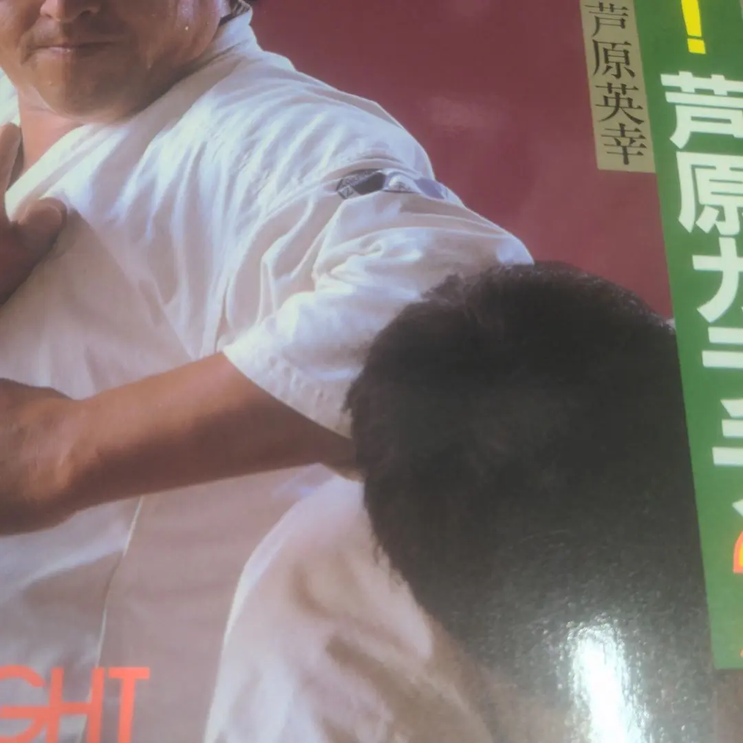 実践！芦原カラテ 基本編 応用編