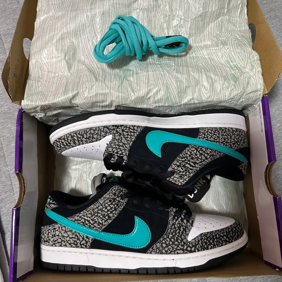シューレース　Nike SB Dunk Low ５足分 楽天市場】nike sb（靴ひも｜靴ケア用品・アクセサリー）：靴の通販