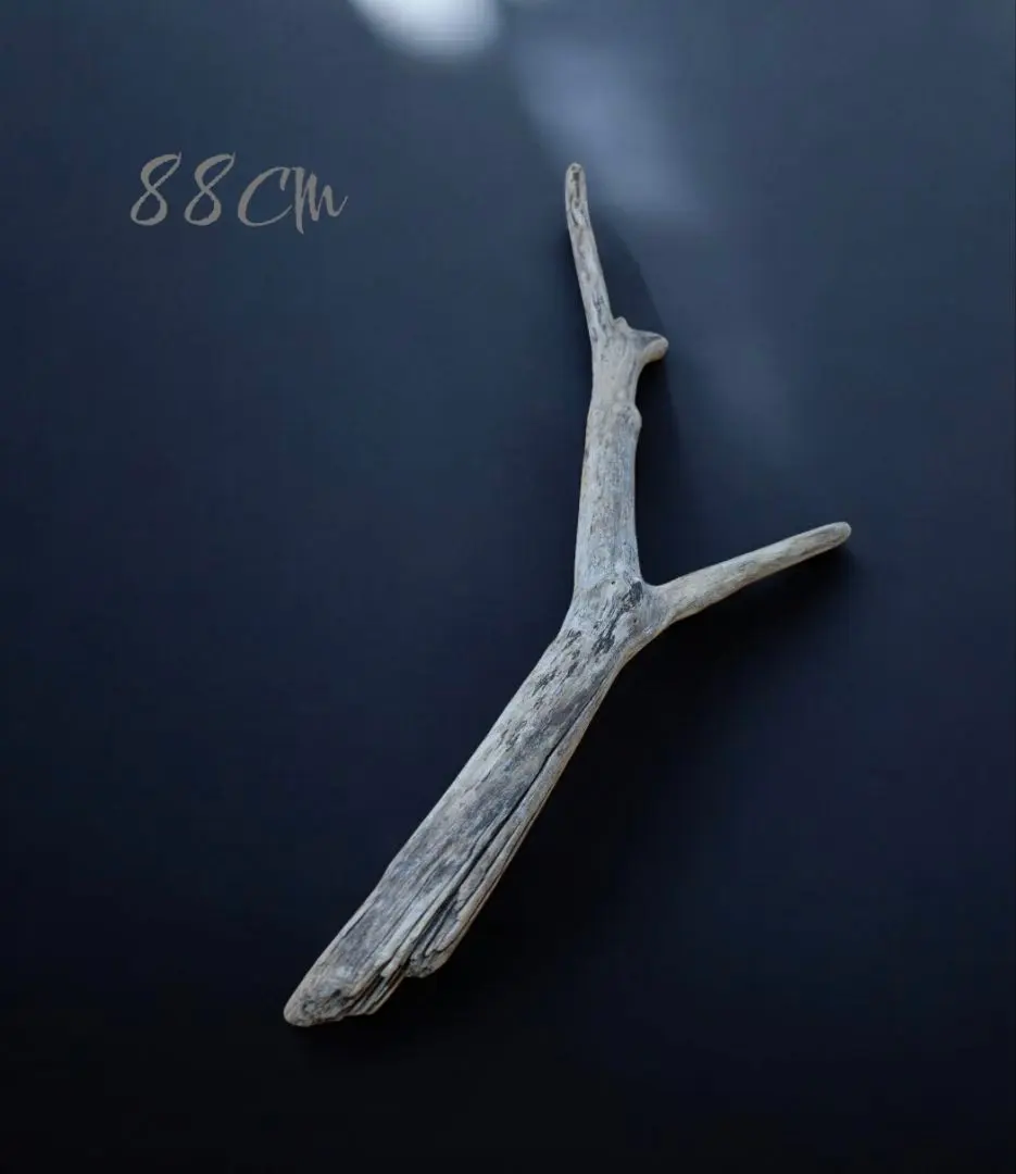 Thumbnail of Driftwood Long 88cm - Enjoying Natural Colors - Nordic Modern Decor Natural Material