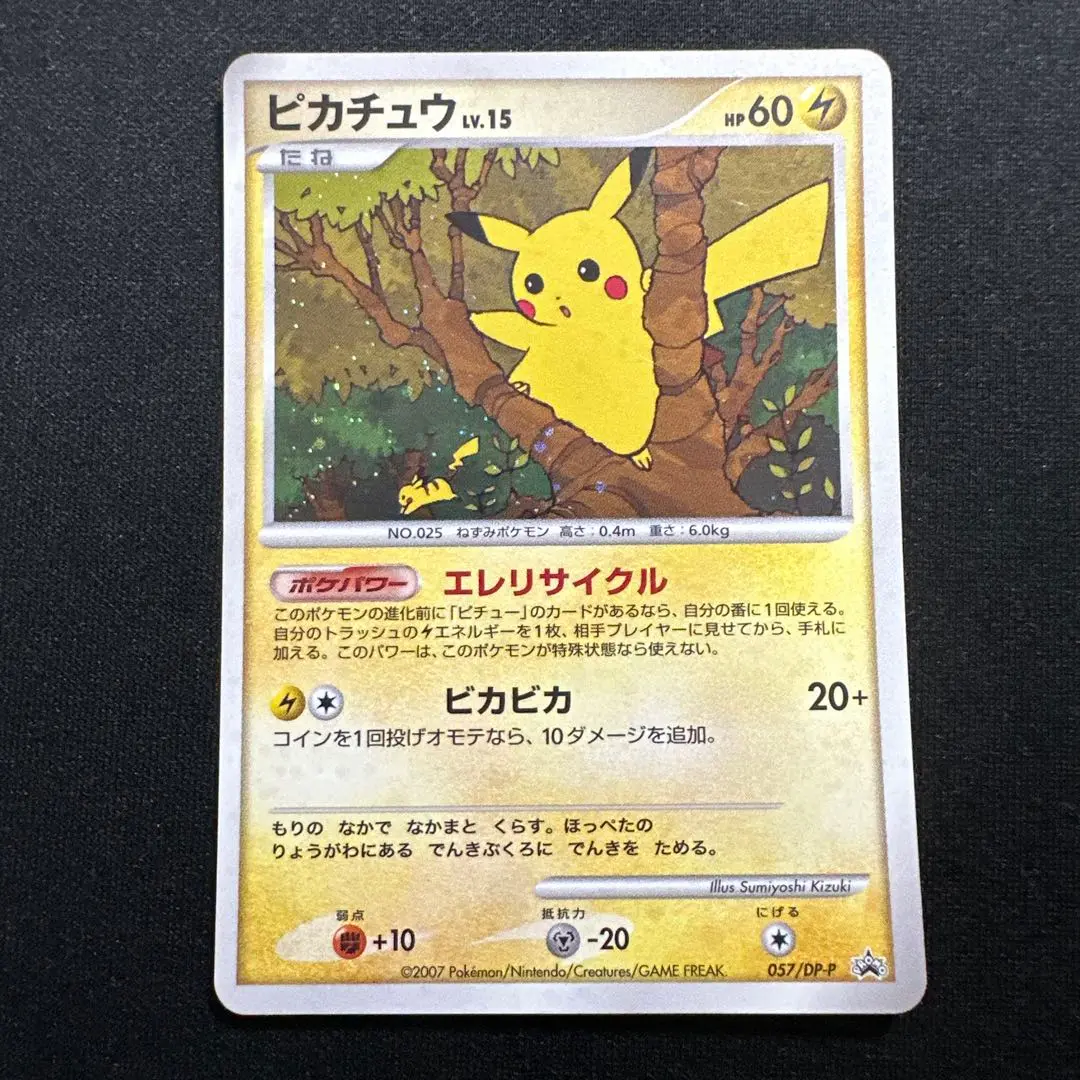 ポケモンカード 引退品 プロモ ピカチュウ リザードン ② dp PSA10】25周年プロモ リザードン ピカチュウ 2枚セット 777ゾロ
