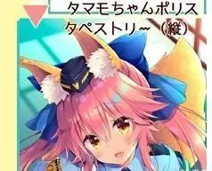 さそりがため Dragon Kitchen FGO 玉藻の前タペストリー　C95 Amazon.co.jp: さそりがため 玉藻の前 グッズセット コミケ c93