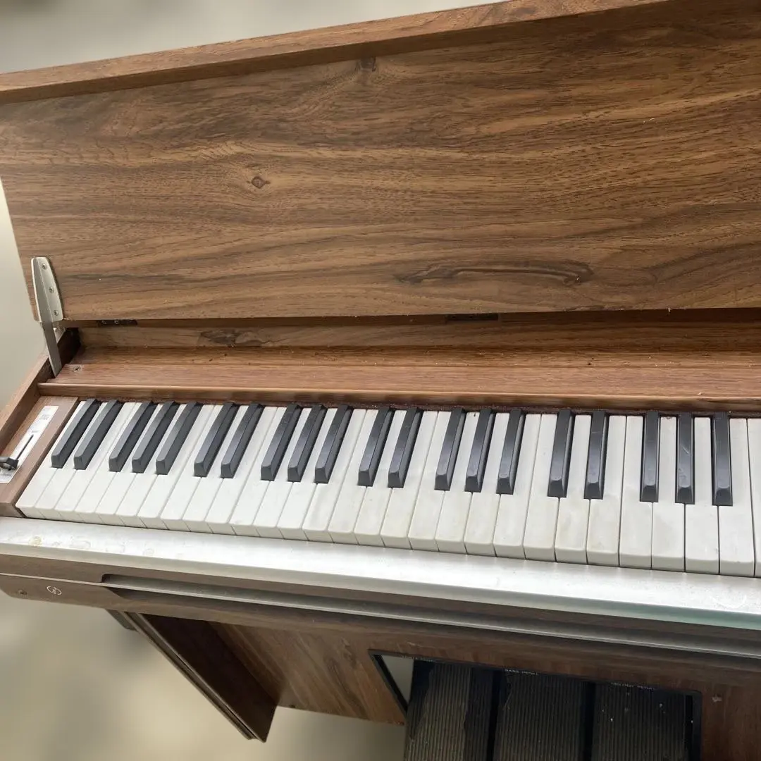2025年最新】KAWAI 電子オルガンの人気アイテム - メルカリ